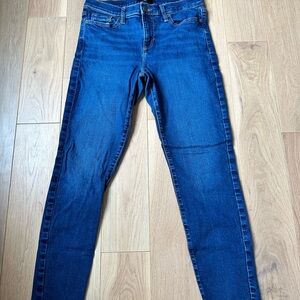 Banana Republic Deep Blue Skinny Jeans